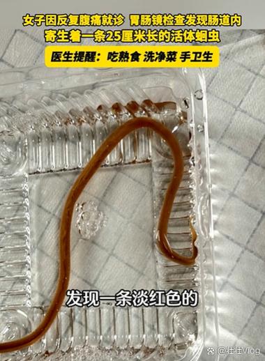 屏幕有死虫子的处理方法