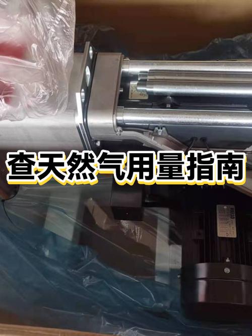 怎样查自家的燃气用量