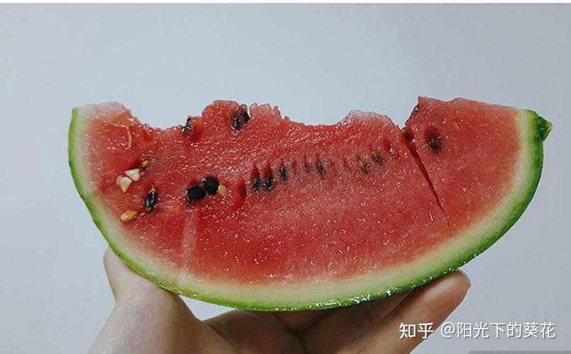 冬天完整西瓜能放多久缩略图