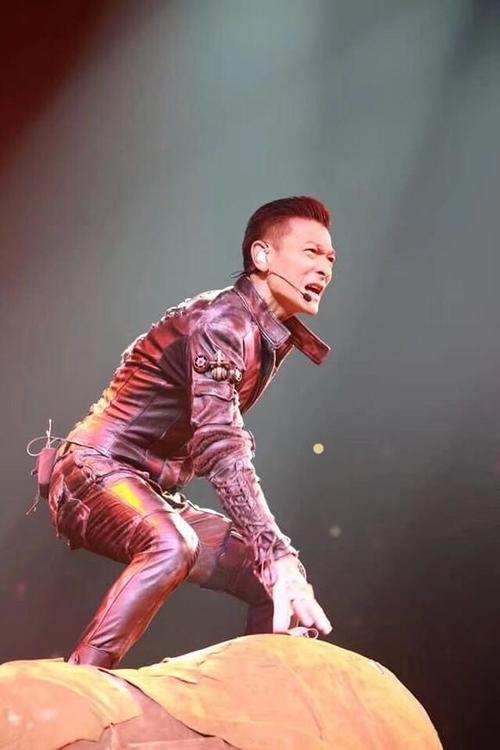 刘德华2018演唱会 下载