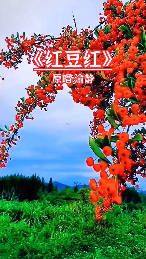 红豆红铃声下载免费图标