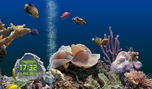 marineaquarium3自动运行