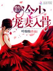 婚权独占:冷少,宠妻入骨