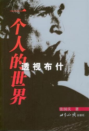 我的世界镜头突然拉近截图