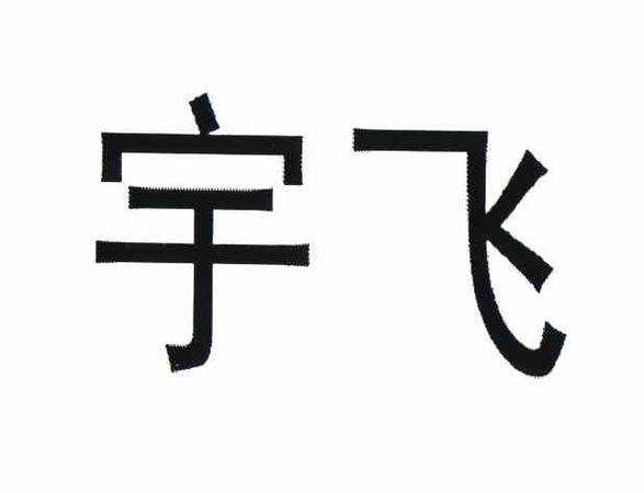 宇飞天地