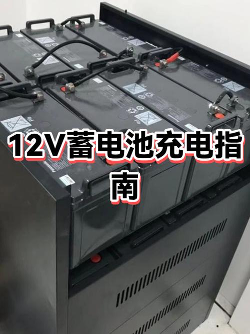 12伏蓄电池充电器哪个品牌好游戏截图