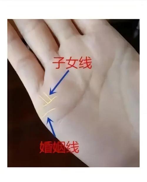 红缘相交数截图