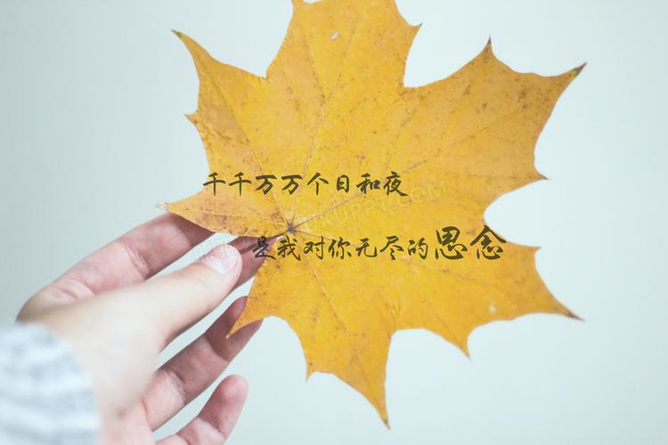 表达思念最深的情话