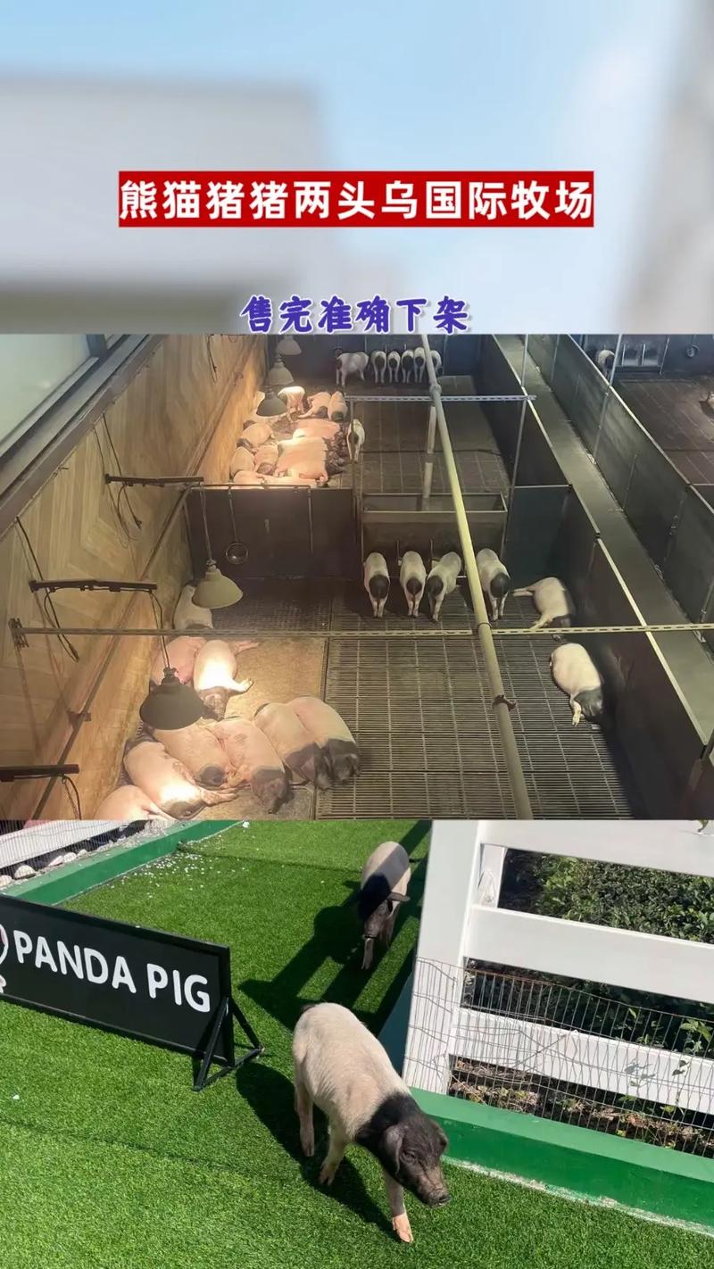 双性宠物养殖场在线截图