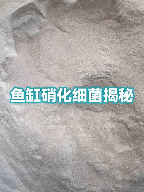鱼缸硝化细菌多久加一次图标