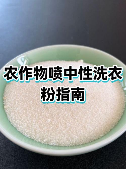滚筒洗衣机如何正确放洗衣粉游戏截图