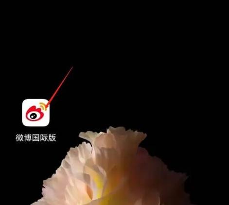 查看排位赛场次需要关注的步骤