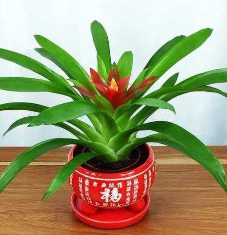 什么档次算大富大贵