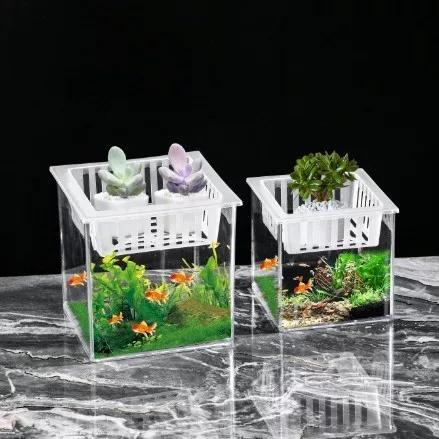 迷你生态花盆