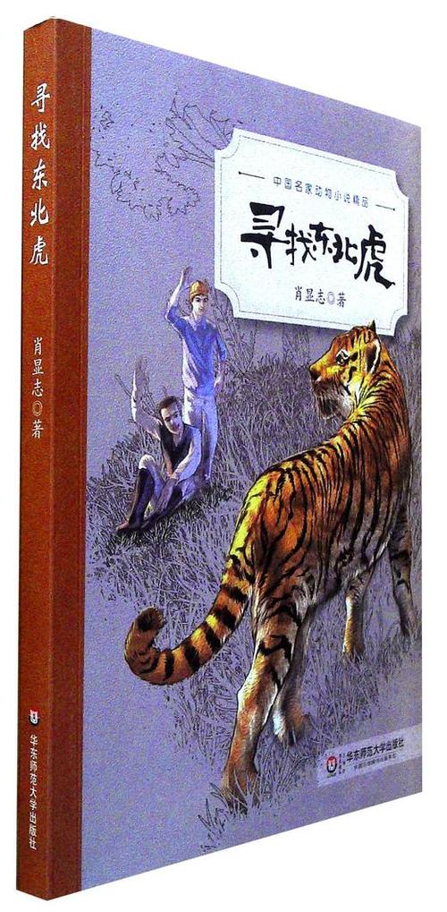 中国虎小说在线阅读