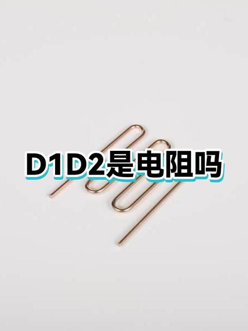 d1与d2什么区别