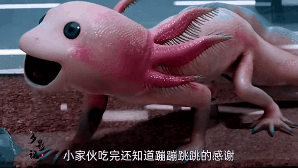 怪兽的叫声