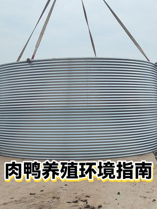 养肉鸭5000千只利润多少