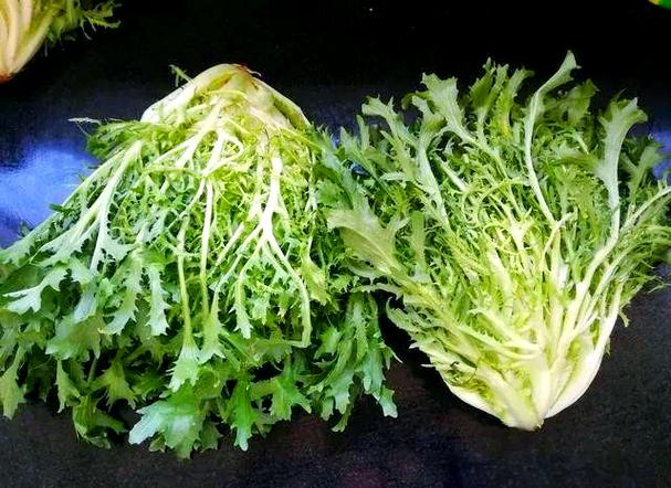 泻火的食物截图