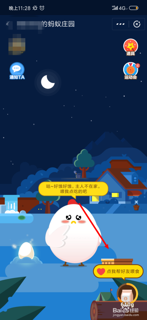 蚂蚁庄园小鸡多久不喂食就去别人家缩略图