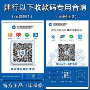 建行龙支付收款语音播报