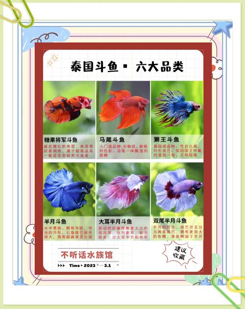 泰拉瑞亚小金鱼如何快速获得截图