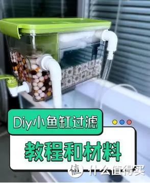 鱼缸水太腥怎么处理