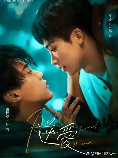 兔费看电视剧图标