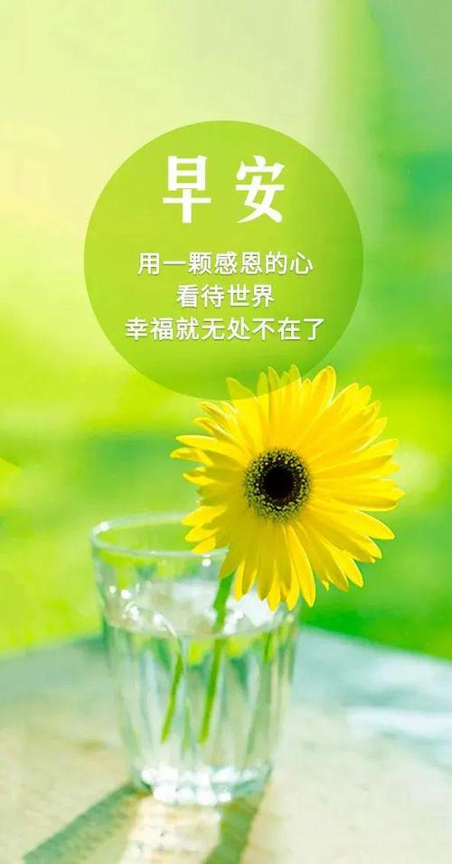早安热爱生活的句子