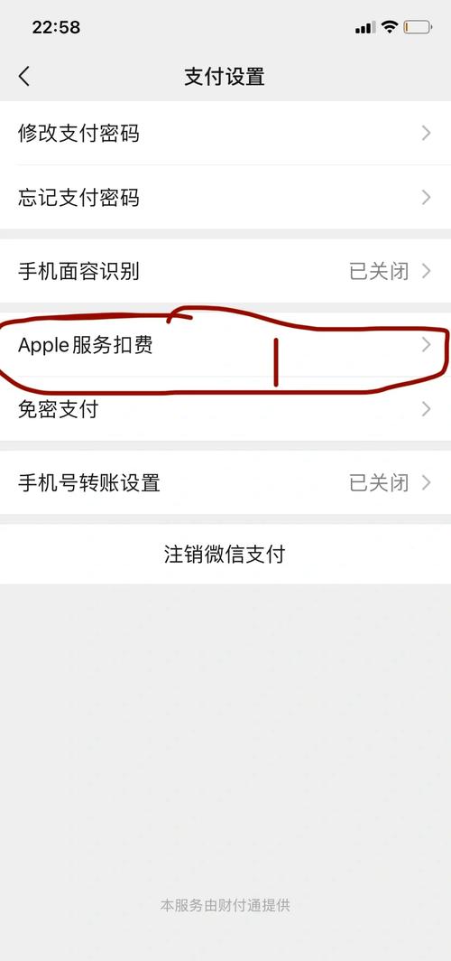 苹果手机支付收费吗