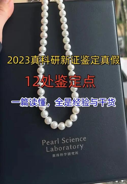 罗永浩真实学历是什么截图