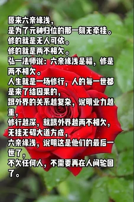 夫妻缘分浅是什么意思