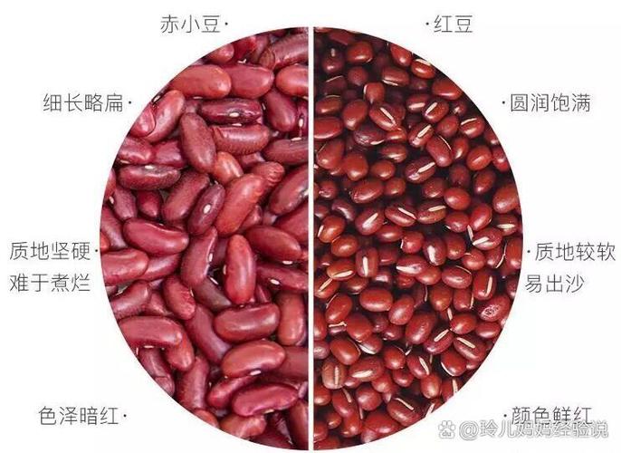 微小豆修复版截图