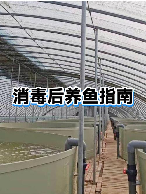 鱼缸可以养清道夫吗图标