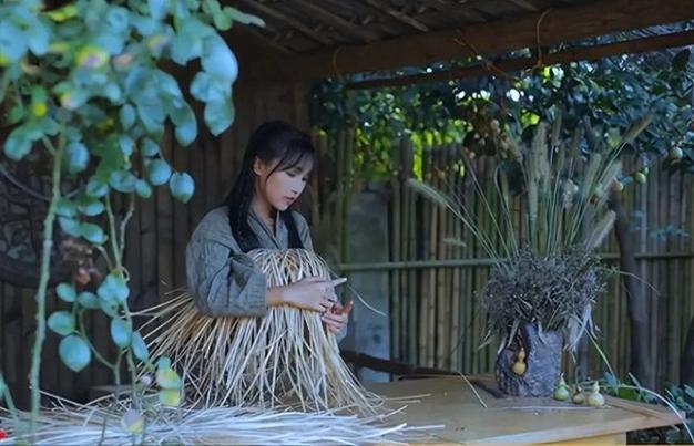 李子柒茶叶视频