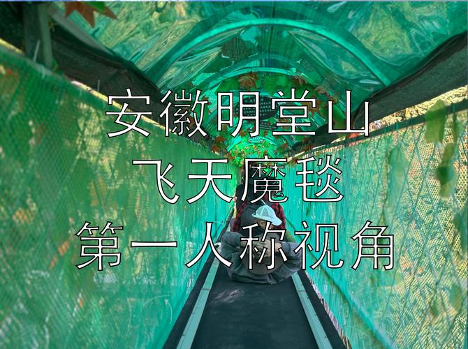 第一人称视角的片
