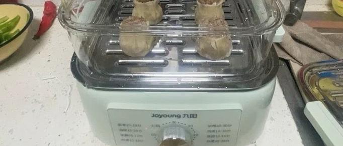 九阳电蒸锅自动跳停是什么原因