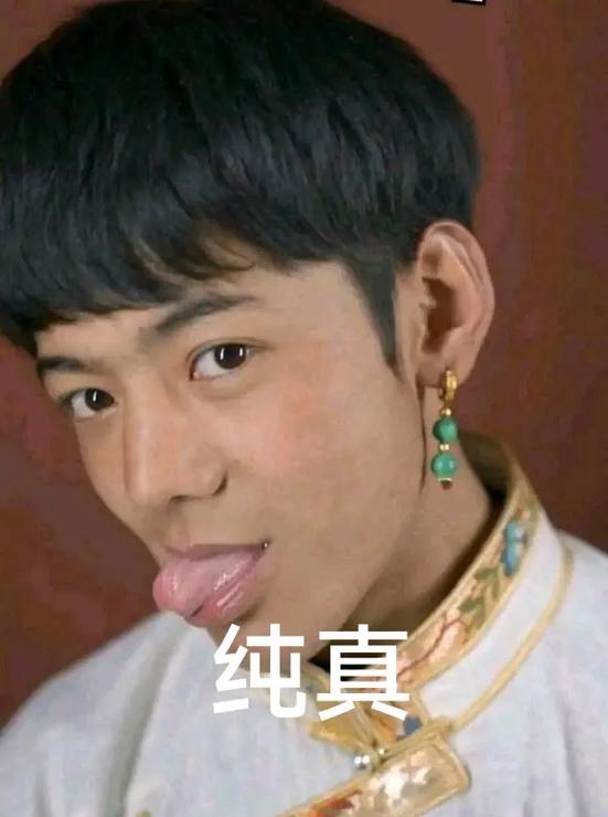 丁真流汗表情包截图