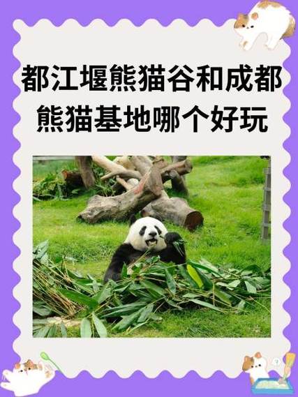 都江堰大熊猫基地官网图标