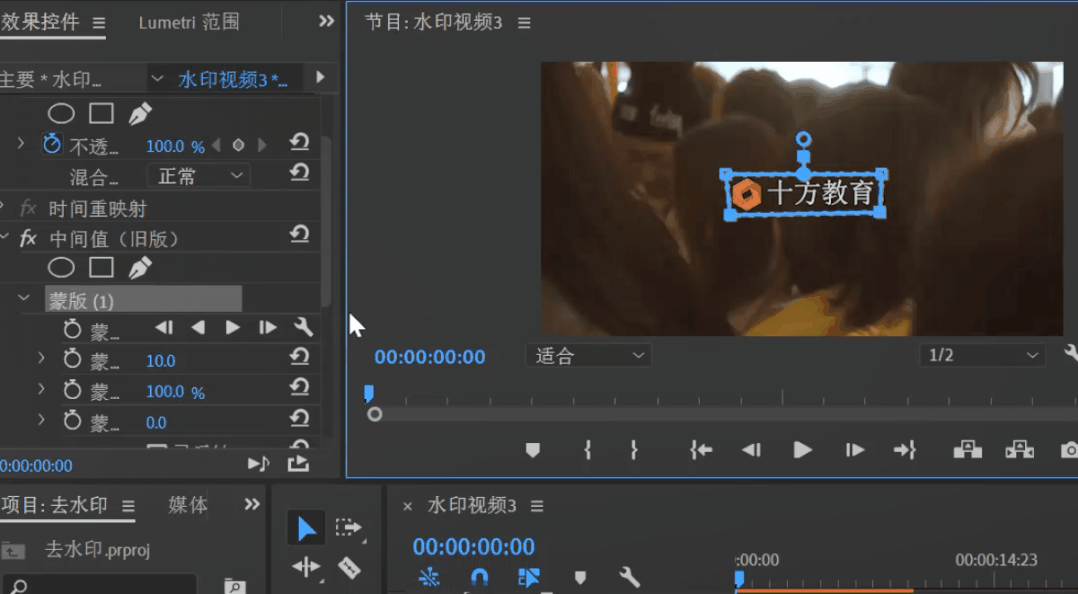 pr无痕去水印教程图标