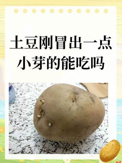 不能吃的土豆图片图标