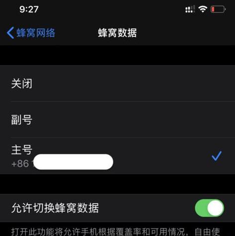 苹果手机怎么打开双卡双待模式缩略图