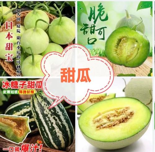 手机怎么问豆包