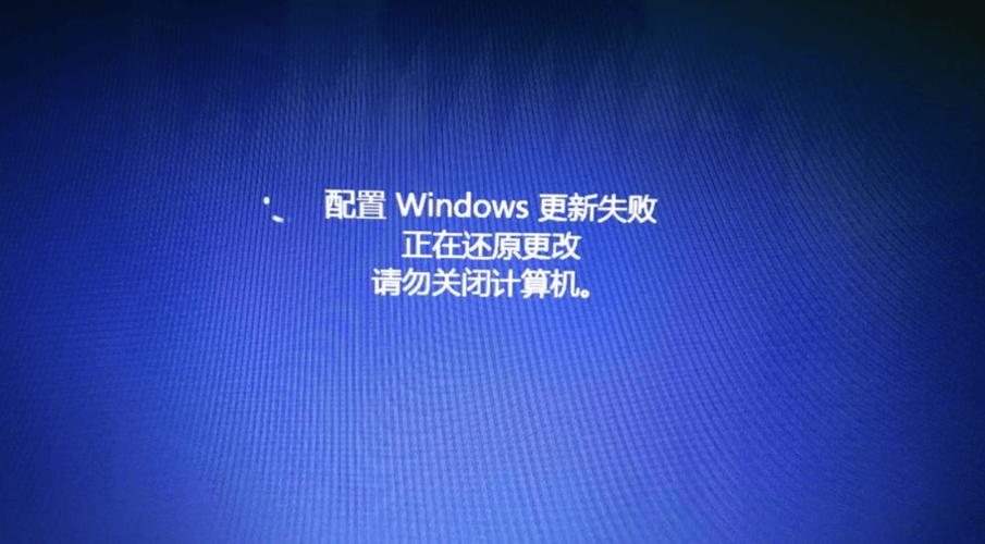 win11关更新