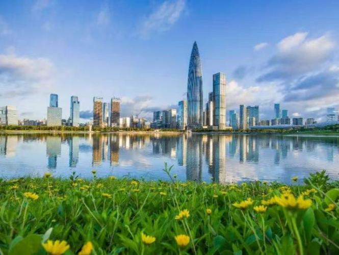 深圳十大风投公司排名游戏截图