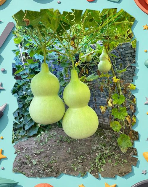 葫芦侠2019兑换码截图