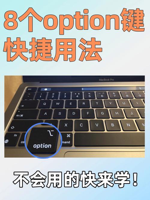 mac开机按option没用