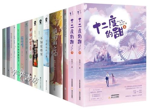 板栗子小说图标
