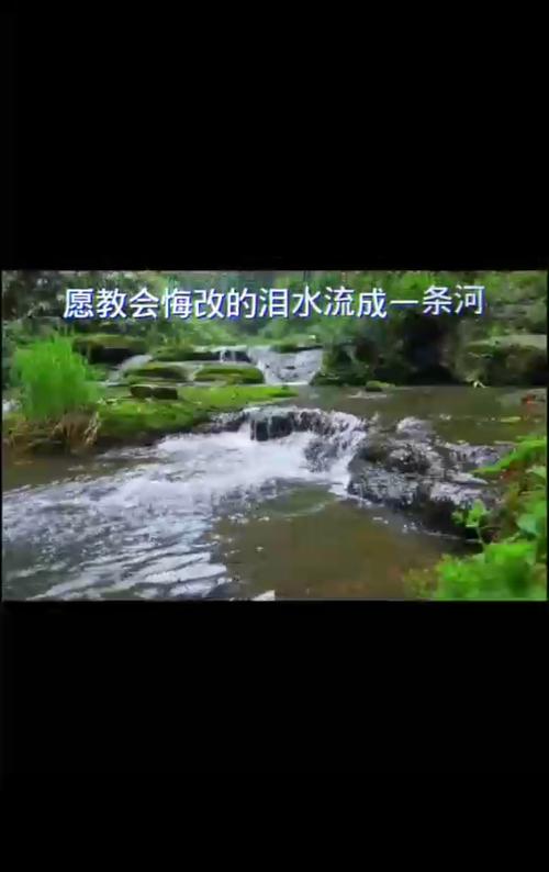 眼泪付水流