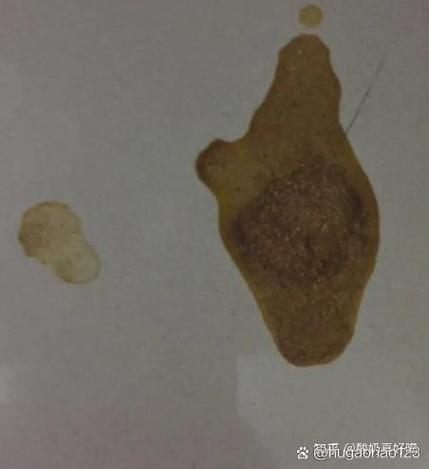 狗狗吐了一滩褐色液体